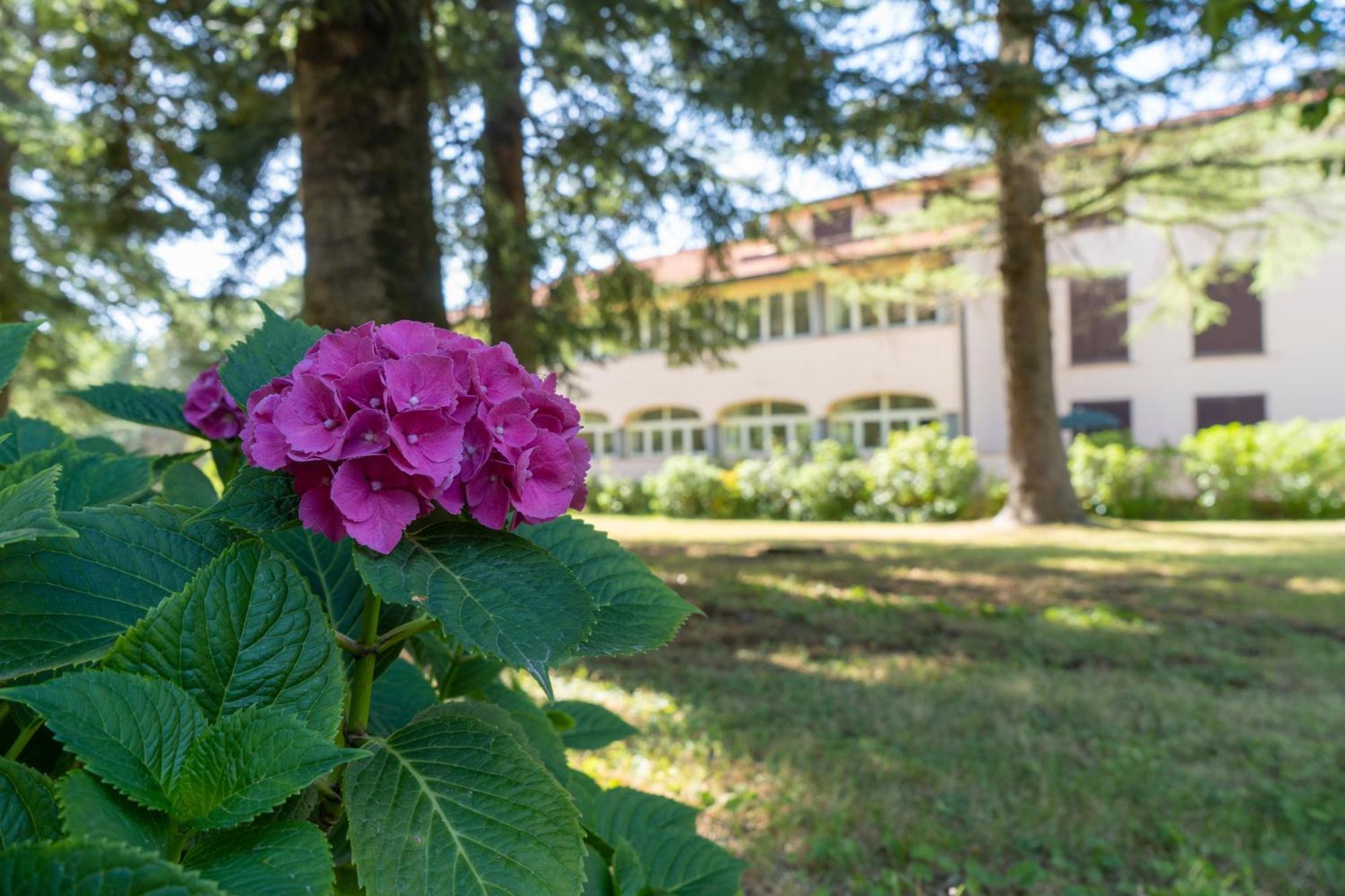 Toscana Wellness Resort Arcidosso Bagian luar foto